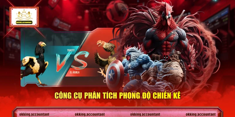 Công cụ phân tích phong độ chiến kê