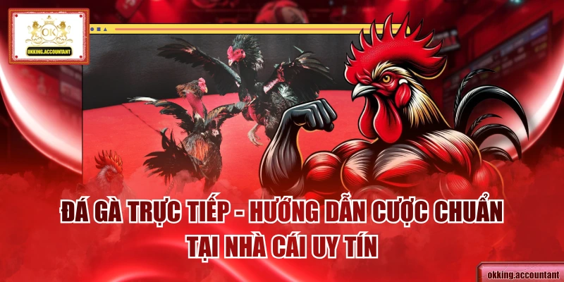 Đá Gà Trực Tiếp - Hướng Dẫn Cược Chuẩn Tại Nhà Cái Uy Tín