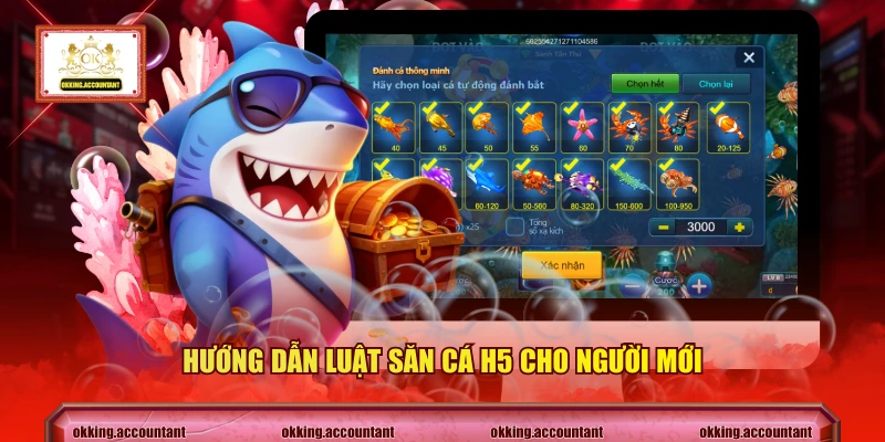 Hướng dẫn luật săn cá H5 cho người mới