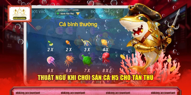 Thuật ngữ khi chơi săn cá H5 cho tân thủ